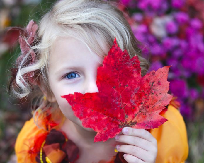 bambina con foglia di acero rosso