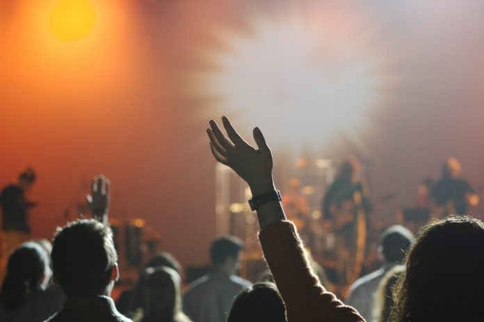 pubblico ad un concerto di musica rock