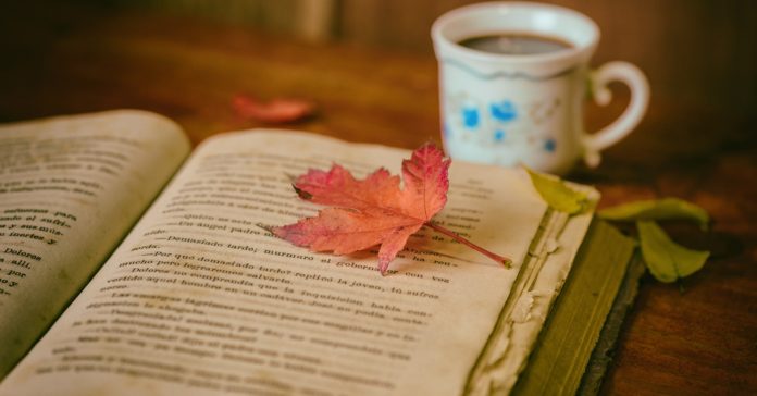 aspettando l'autunno, un libro aperto con una foglia gialla sopra e una tazza di te