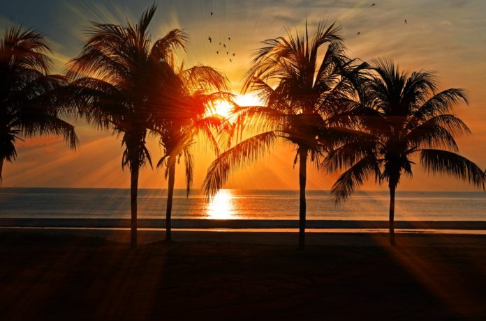 tramonto a settembre su una spiaggia con palme