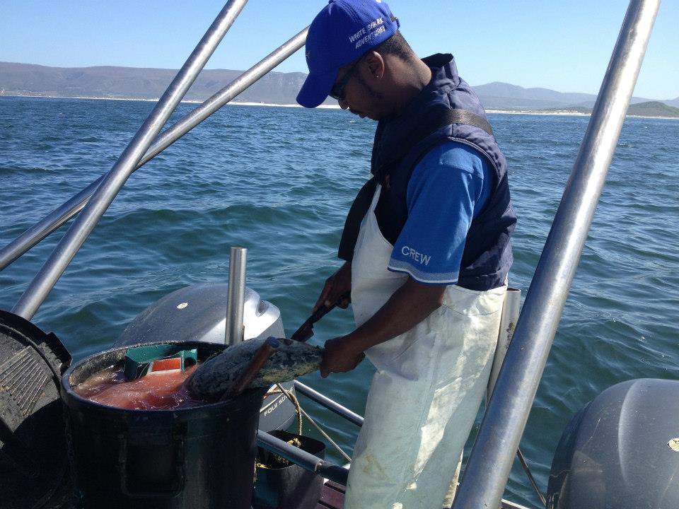 Un ragazzo dello staff prepara in un secchio un composto fatto di scarti e olio di pesce.