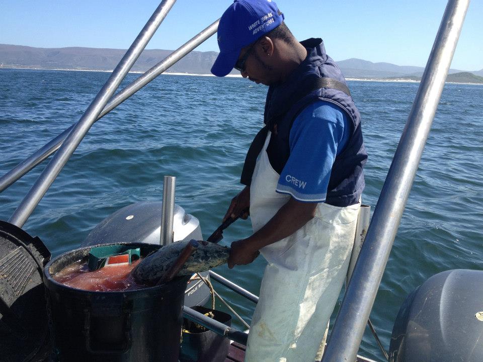 Un ragazzo dello staff prepara in un secchio un composto fatto di scarti e olio di pesce. 