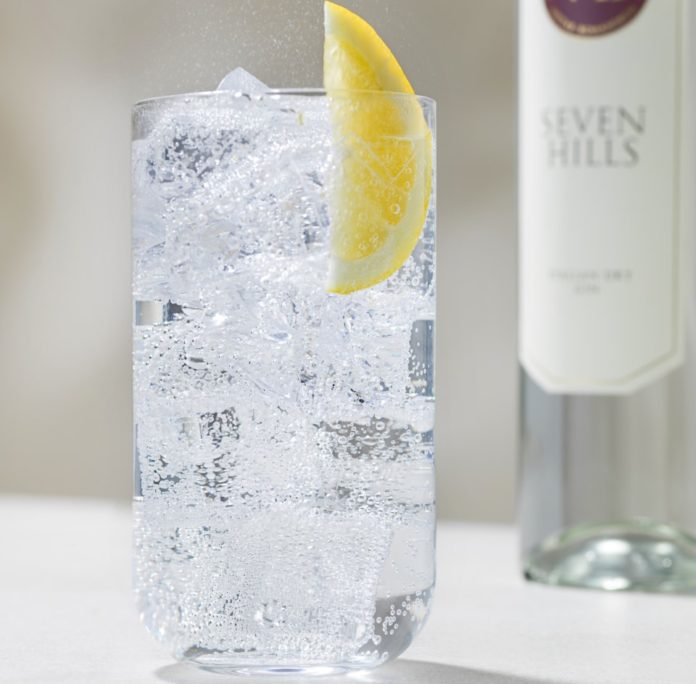 la drink list con un bicchiere di gin tonic con ghiaccio e limone e sullo sfondo la bottiglia