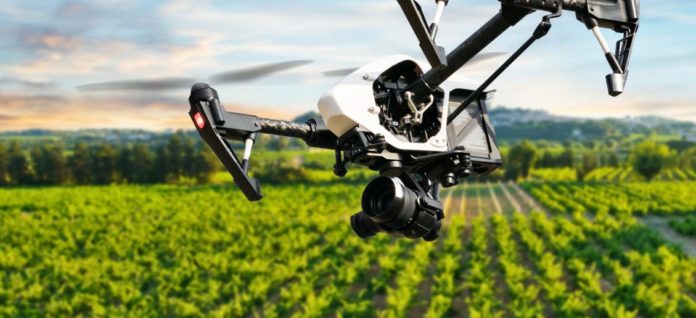 maker faire rome agritech un drone vola su campo di grano
