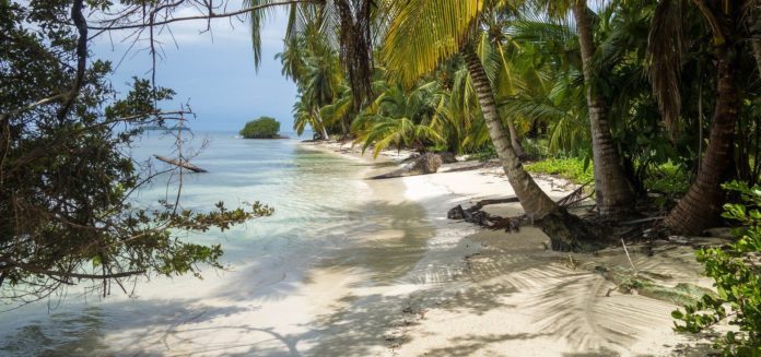 una spiaggia di Costa Rica per un viaggio da sogno con una palma in primo piano un sentiero sabbioso che porta al mare