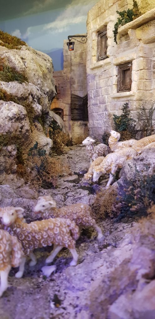 Presepio isola di Gozo particolari e pecorelle