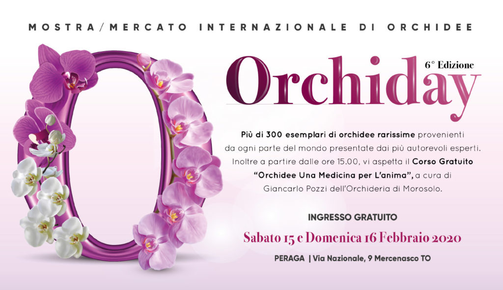 Orchiday la locandina