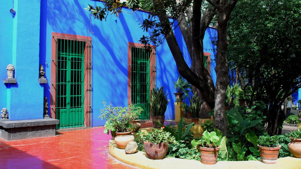 Il. Cortile di casa Azul porte verdi e pareti blu con. Piante davnti
Frida apre Casa Azul, faces of Frida per #iorestoacasa