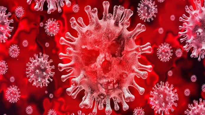 Coronavirus tutti i dati ufficiali e come viene trattato il Covid-19