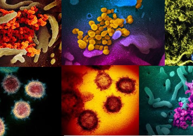 Coronavirus informazioni attendibili sul web e dove trovarle