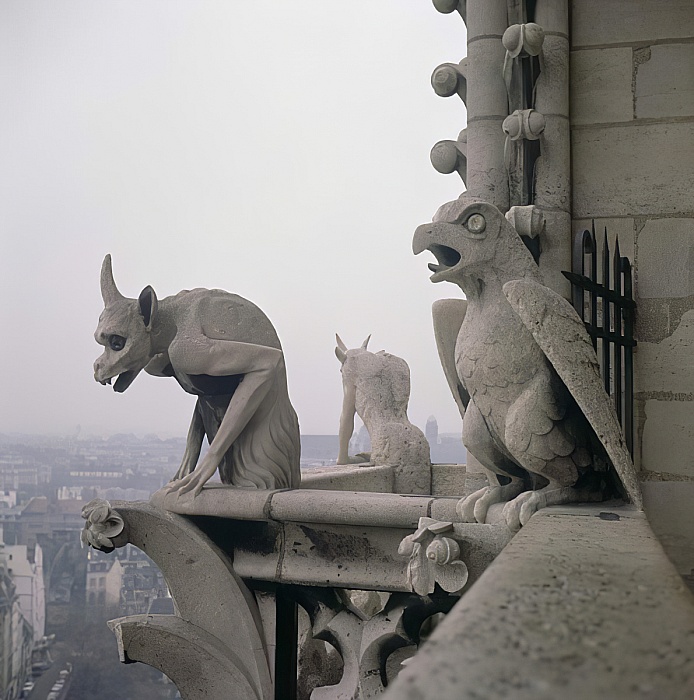 balaustra della grande galerie in francia, un gargoyle appoggiato con le zampe anteriori in un angolo con lo sguardo rivolto verso giù, accanto, dall'altra parte della balaustra un altro gargoyle nella stessa posizione ma di schiena, in un altro angolo a destra un'aquila con il becco aperto, in sottofondo giù di sotto la città