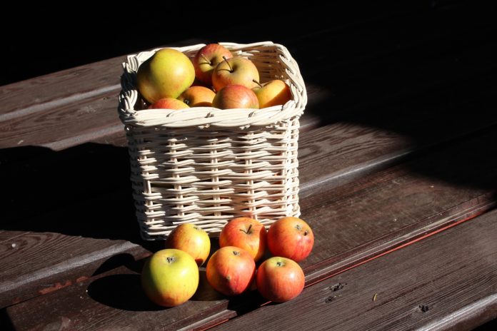 solidarietà e iniziativa benefica un cesto di mele su un tavolo
