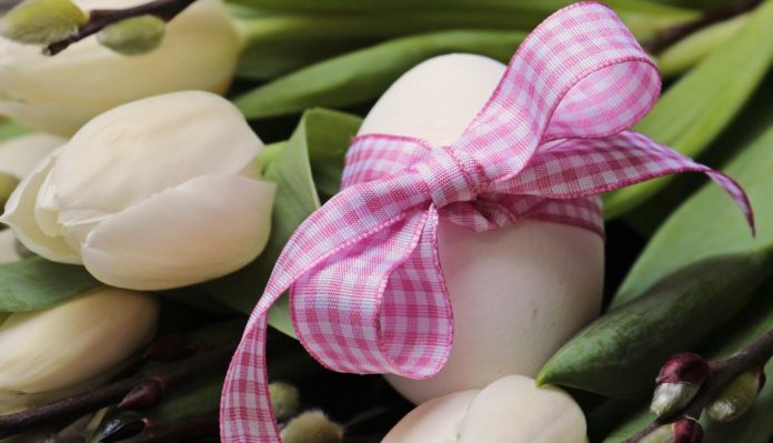 Pasqua alternativa un uovo legato con un fiocco rosa appoggiato su dei tulipani