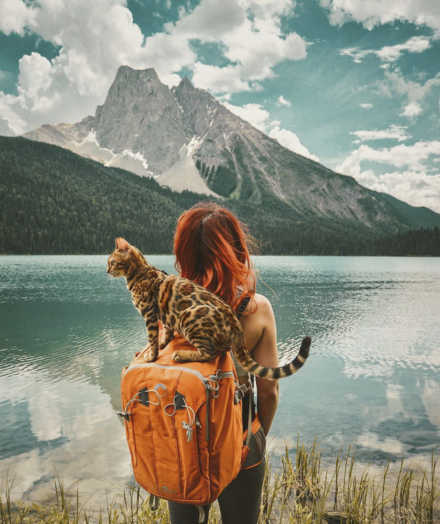 la gatta suki seduta su uno zaino arancione in spalla alla proprietaria con i capelli rossi, guardano un lago molto grande circondato da una montagnda e dai boschi