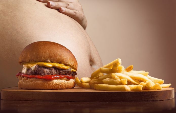 obesità nella foto in primo piano un piatto con hamburger e patatine e sullo sfondo di profilo una enorme pancia di un uomo