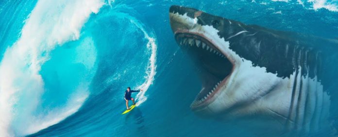 megalodonte, squalo gigante, un surfista calvalca un'onda molto grande, e non si accorge che dietro di lui c'è un grosso megalodonte intento ad attaccarlo
