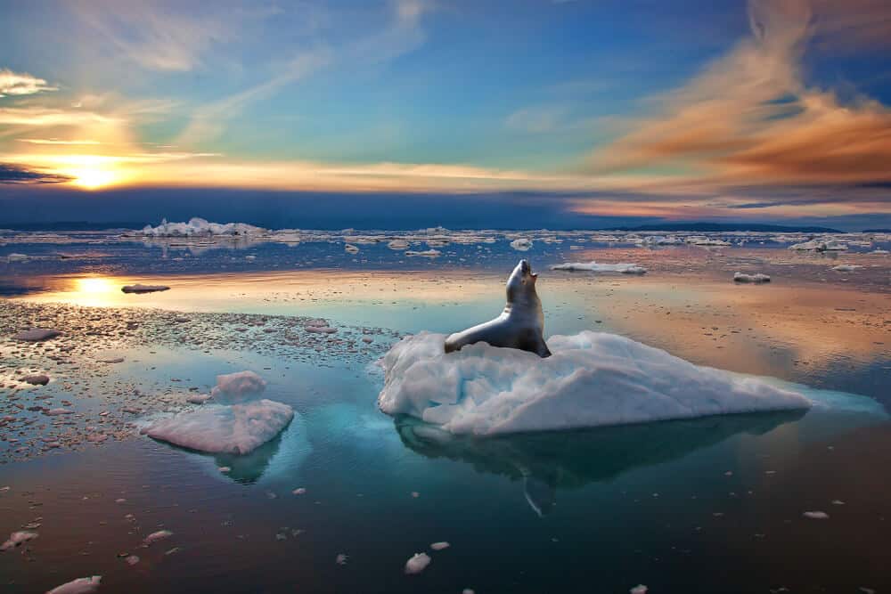 Tour Virtuale in Islanda: la terra dove la natura è allo stato puro. Il sole di mezzanotte in uno dei ghiacciai più estesi dell'isola.