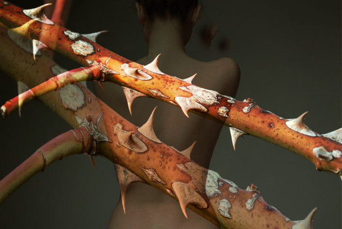 cefalea cronica e fibromialgia - una schiena di donna sullo sfondo coperta da due rami di spine