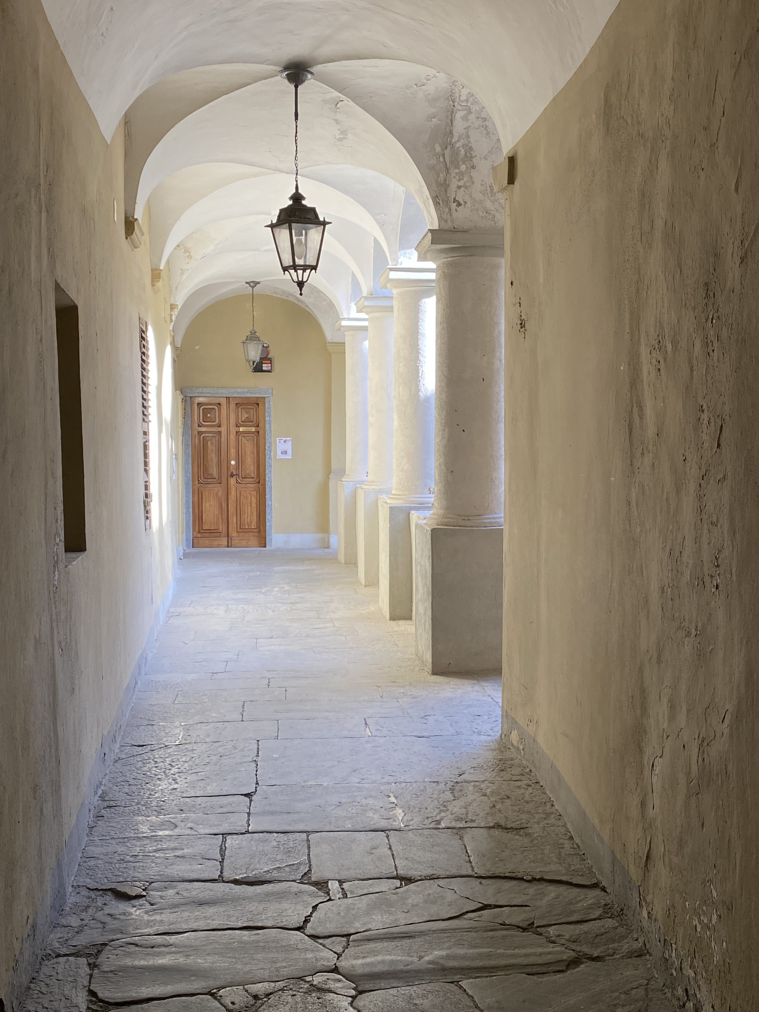 Ingresso a colonne di Palazzo Levis 