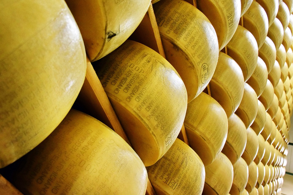 Parmesan e parmigiano - In foto uno scaffale con le forme gialle di parmigiano reggiano. In quelle in primo piano si legge il marchio DOP di denominazione di origine protetta