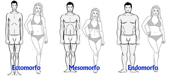 somatotipo schema di Sheldon con disegnati tre tipi di corpi si afemminili che maschili