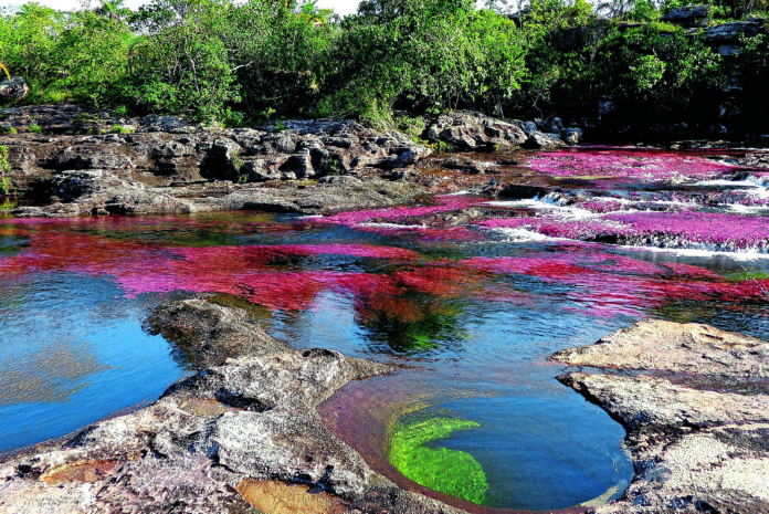 Cano Cristales, fiume. Cano Cristales, conosciuto anche come il fiume dai cinque colori, è il più bello del mondo. L'acqua presenta diverse sfumature di giallo,rosso, verde, blu e nero.