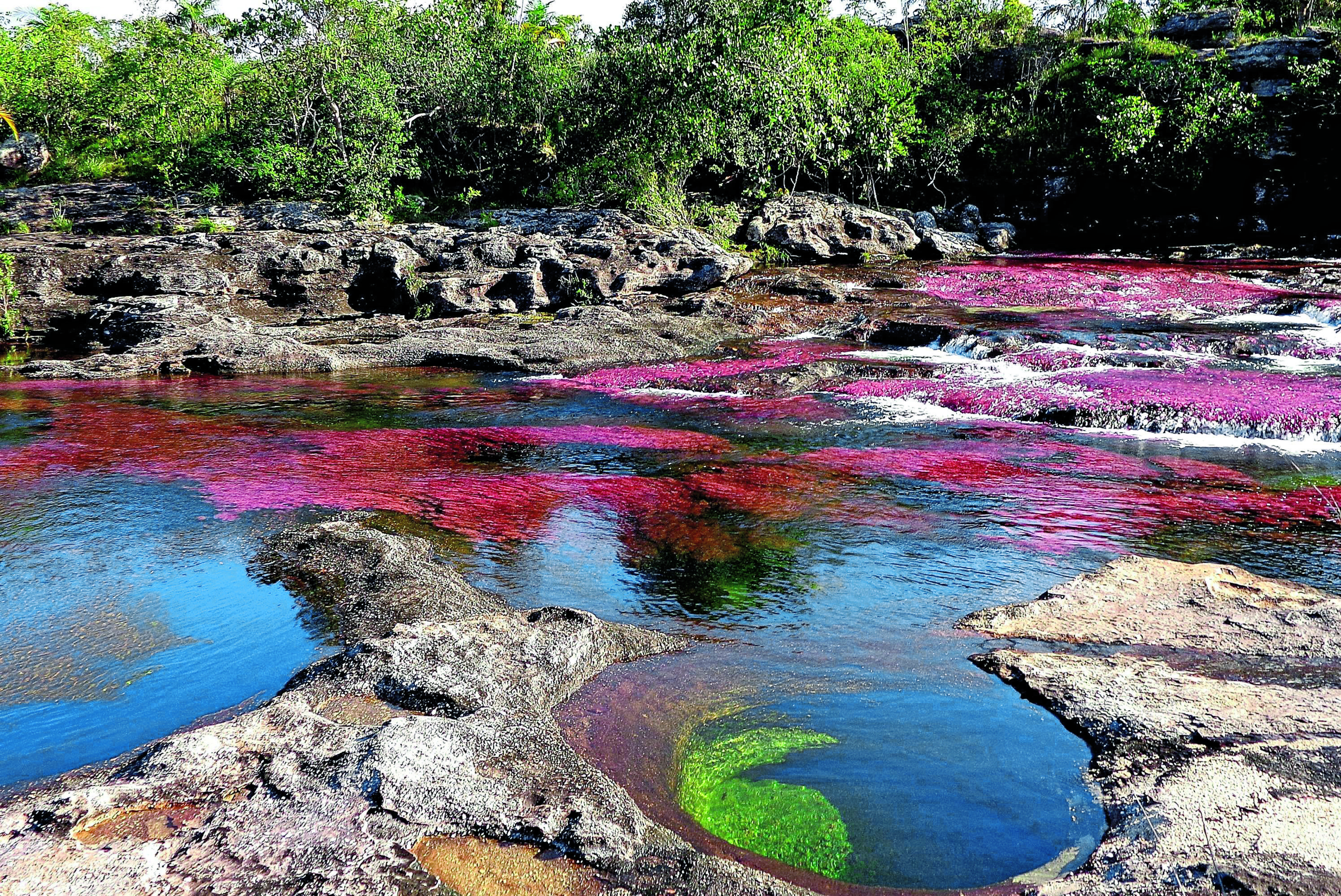Cano Cristales: l'arcobaleno liquido più bello del mondo.