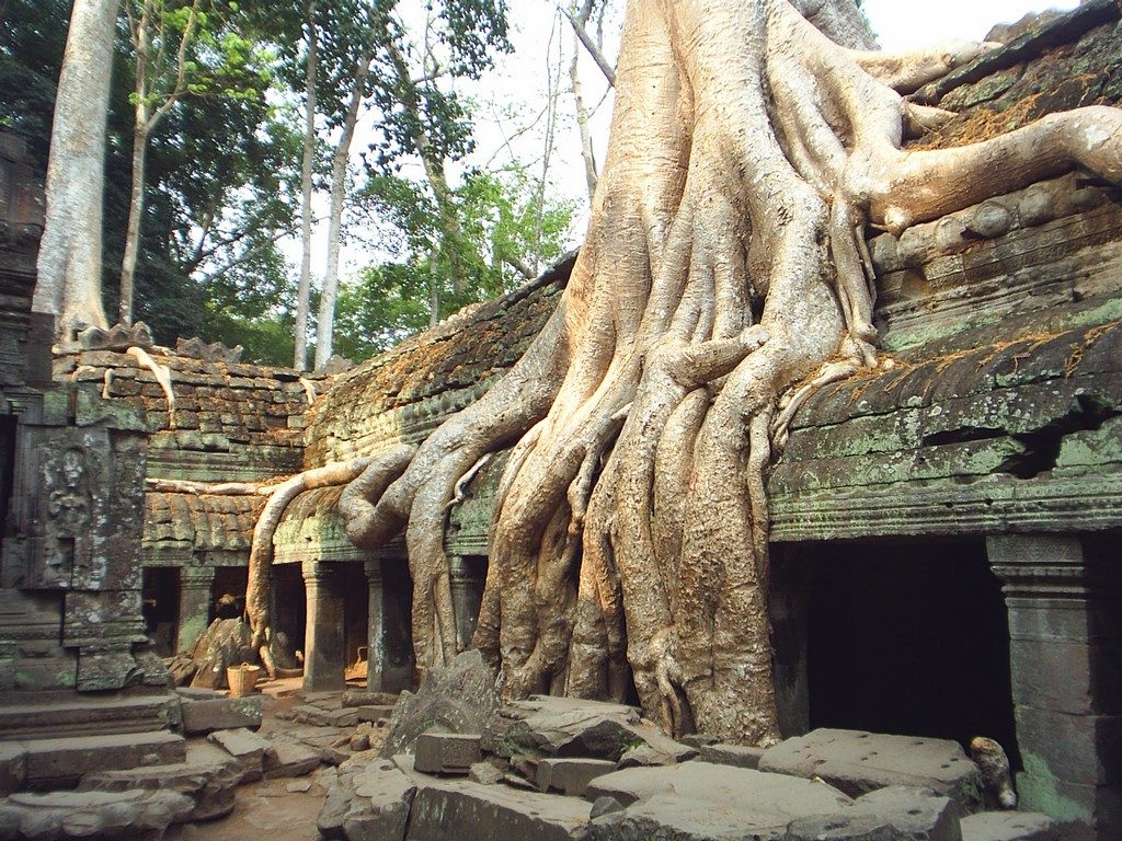 Opere d'arte incredibili, la firma? Madre Natura tempio di ta Prohm