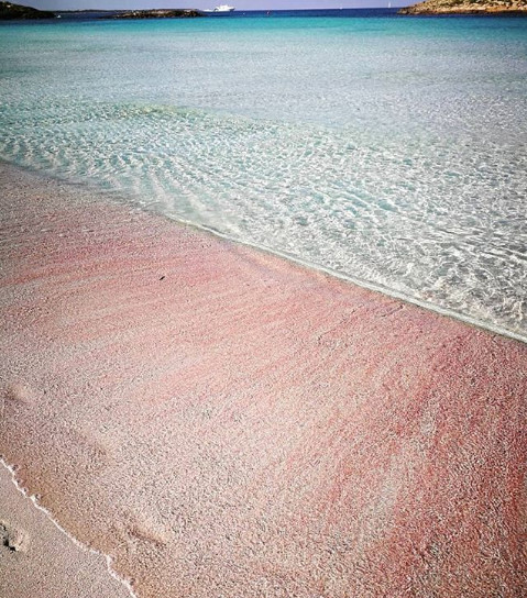  playa-de-ses-illetes-la spiaggia rosa
