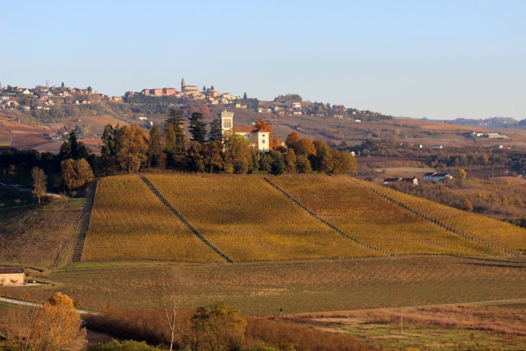 Settembre tempo di vendemmia nelle langhe, le colline e in cima alla collina il paese di Barolo 