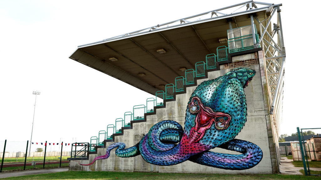 Stadio di comacchio - le gradinate dello stadio disegnate con una gigantesca piovra