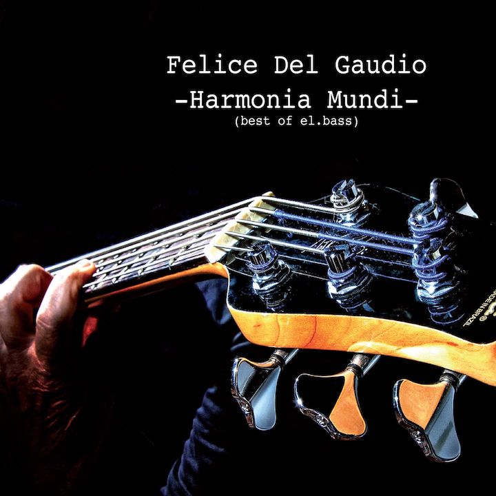 felice del gaudio - la copertina di harmonia mundi, che ritrae il manico e la paletta di un basso