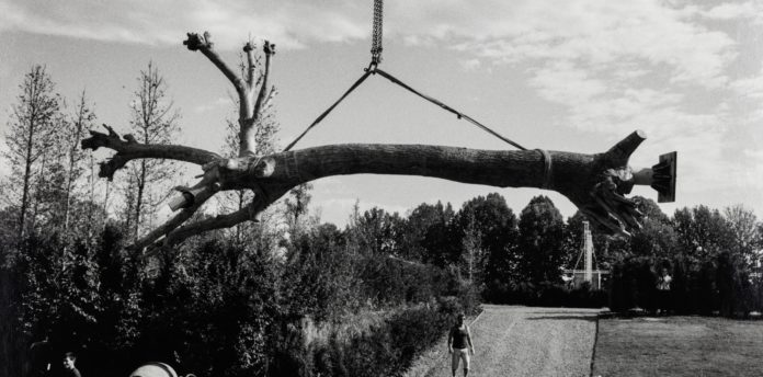 Giuseppe Penone: 200 opere di carta in dono al Castello di Rivoli