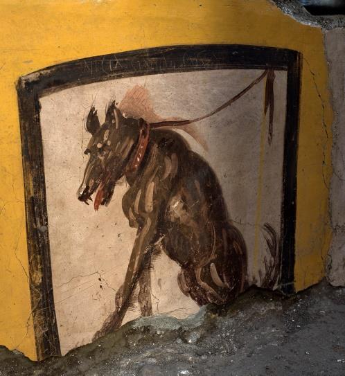 l'affresco di un cane nero al guinzaglio