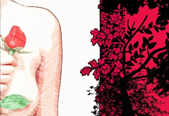 Eros & Eros Ilaria Coppini - la copertina del libro con unamezzo busto di donna nuda che si copre con un bocciolo di rosa e l'altra metà della foto delle foglie rosse su sfondo nero