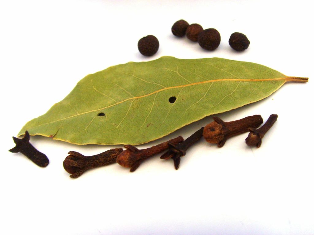 proprietà dei chiodi di garofano e una foglia lanciforme verde