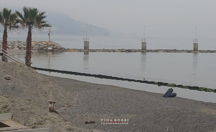 Nebbia sul mare e due palme sul lato sinistro della fotografia. In primo piano la spiaggia