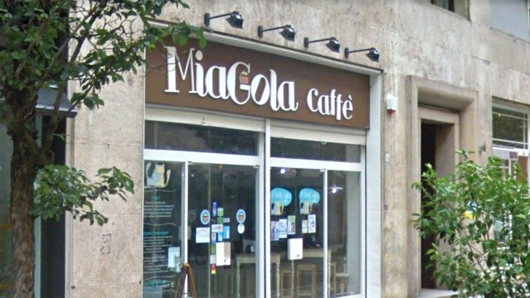 Torino, chiude il Miagola Caffè: gatti in affidamento