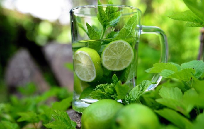 dimagrire un bicchiere colmo d'acqua e di fette di limone e menta e vicino al bicchiere dei lime e delle foglie verdi