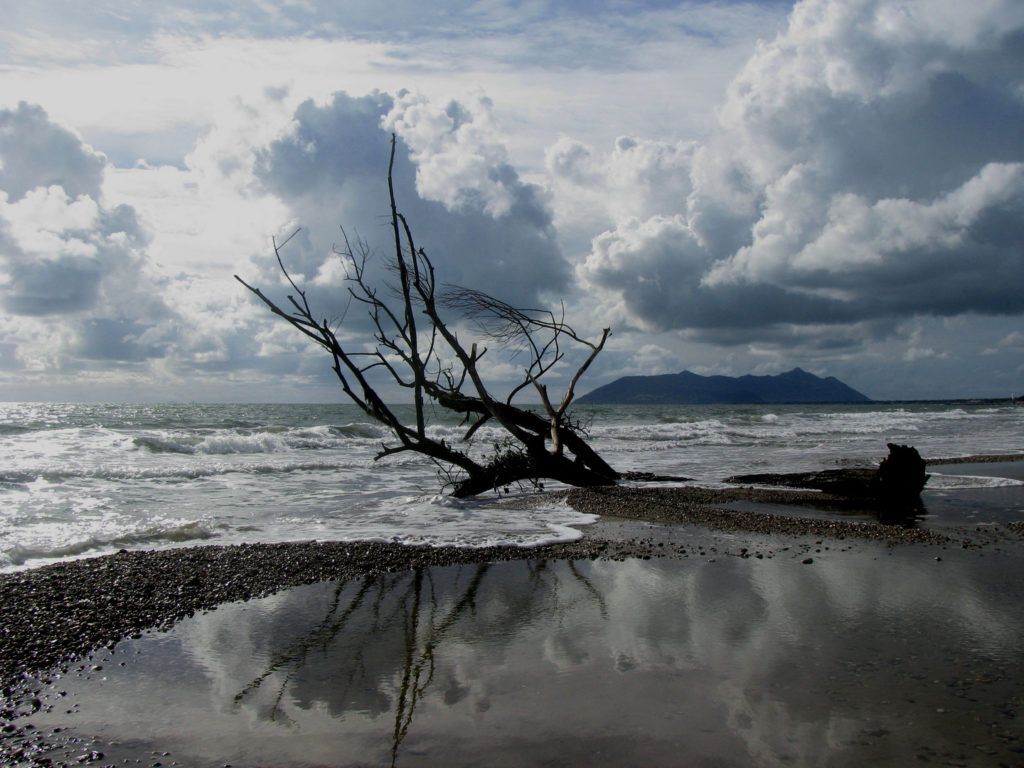 Reinventare il turismo dopo la tempesta perfetta. Immagini di una spiaggia desolata post Covid