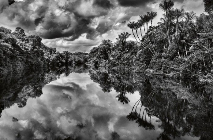 Amazônia Jean.-Michel Jarre la copertina del disco inbianco e nero con la fotografia di un fiume che attraversa la foreesta amazonica