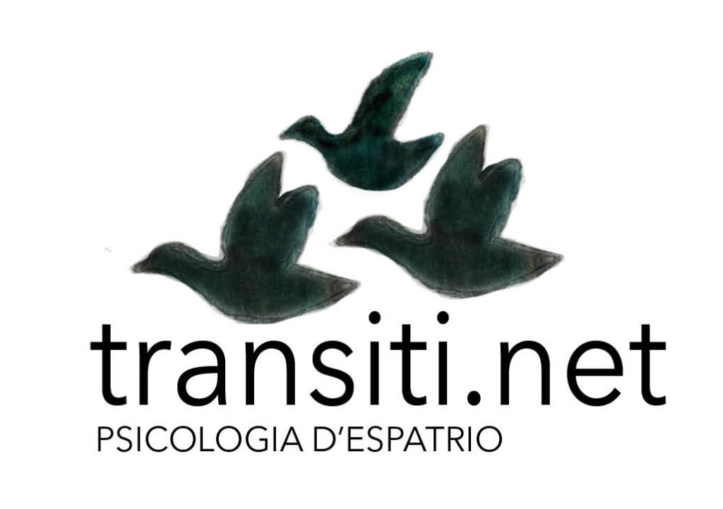 transiti il logo con tre anatre disegnate in nero e la scritta "transiti.net psicologia di espatrio"