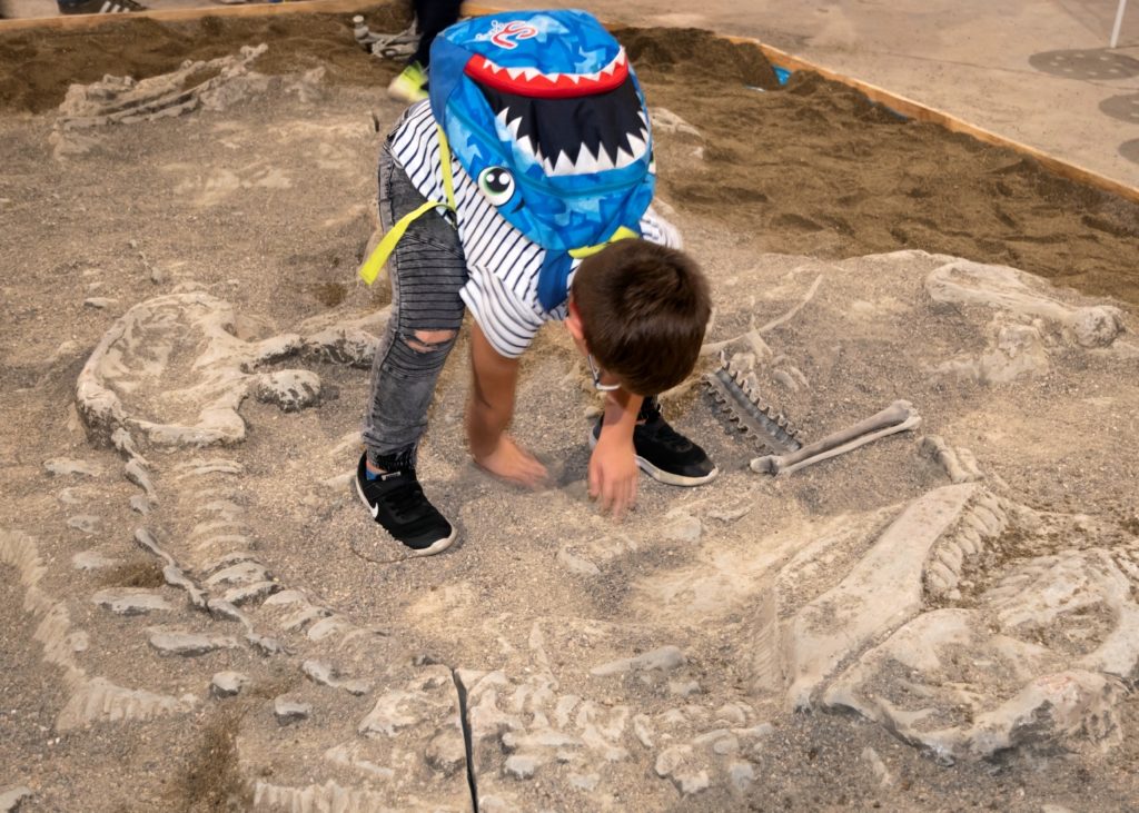 t-rex a Torino. Nella foto un bqambino con uno zaino blu sulla schiena è chinato nell'intento di disseppellire dei resti di fossili in una conca di terra e sabbia