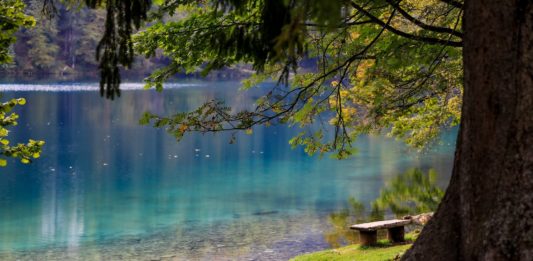 villaggio fantasma - nella foto un lago visto da una riva e sul lato destro un albero con delle fronde