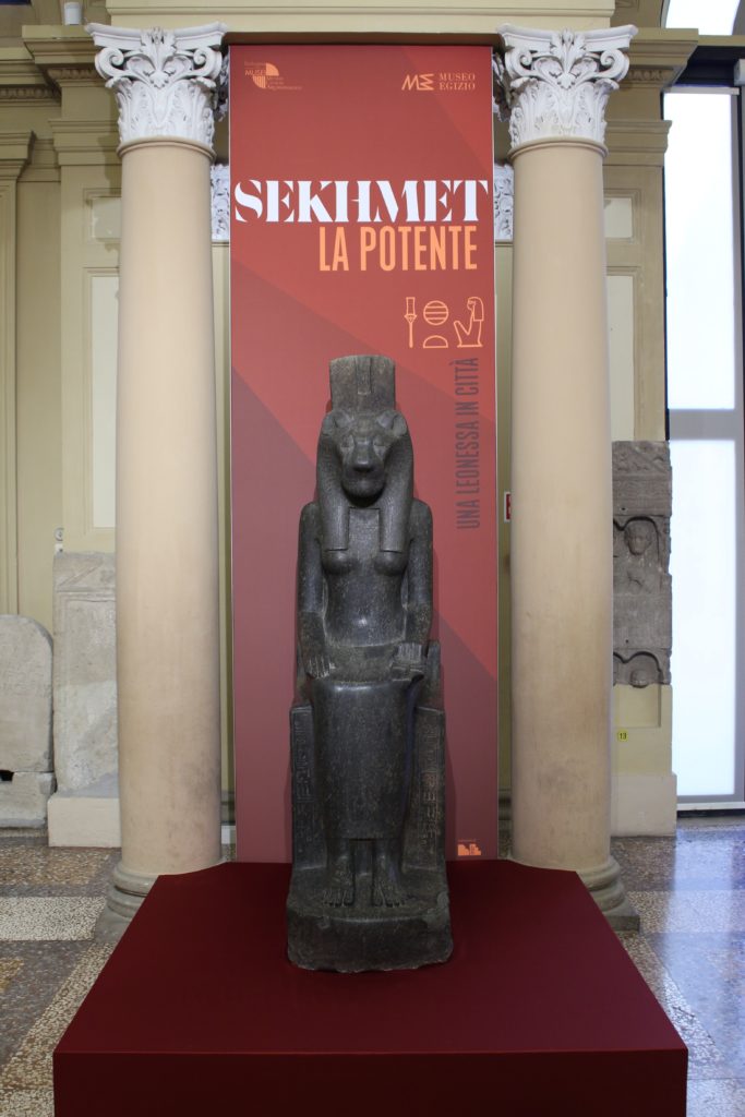 Sekhmet la Potente. Una leonessa in viaggio da Torino a Bologna