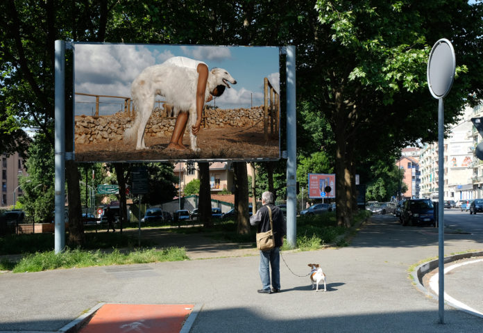 Gli animali come cura, nella foto un manifesto di strada rappresenta un cane bianco e un ragazzao di colore che lo abbraccia seguendo il suo corpo. A guardare il manifesto, un uomo con un cane mengtre scatta una foto del cartellone