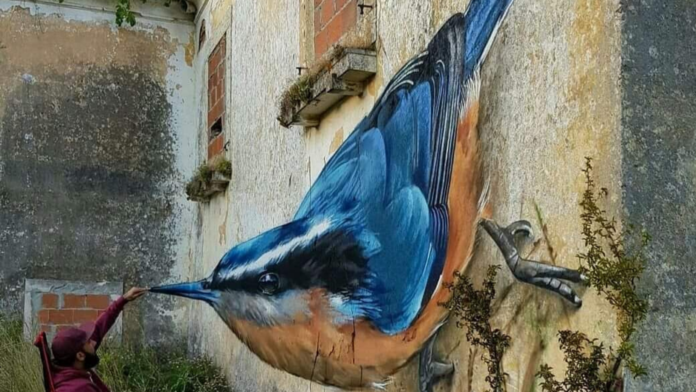 Street Art: dove, come, ma... soprattutto bella!