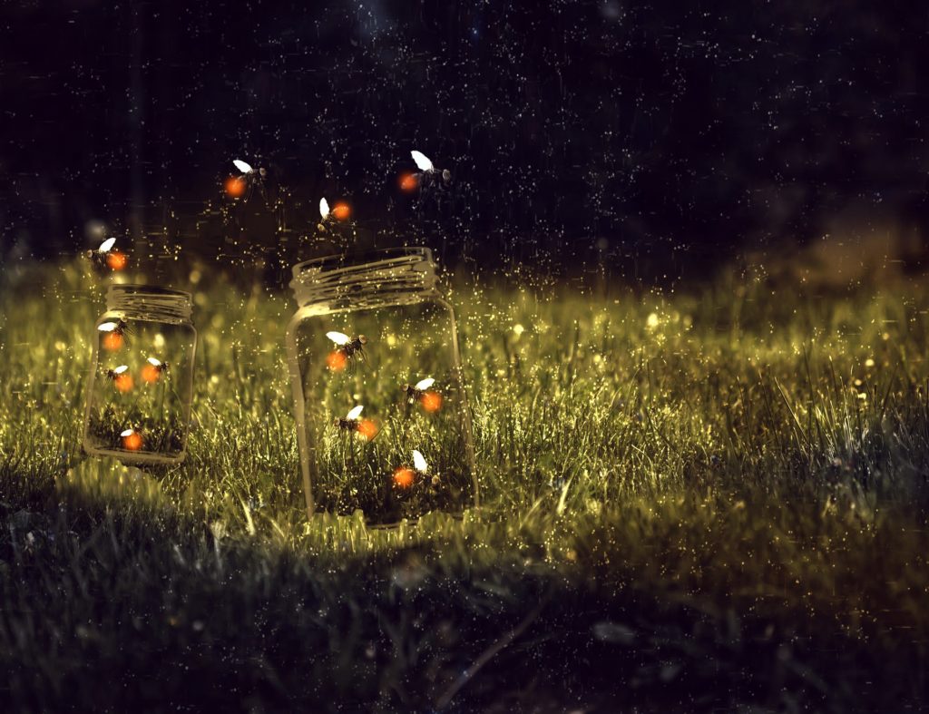 Tante lucciole che escono d aun vaso di vetro trasèparente appoggiato sull'erba e  illuminano la notte 