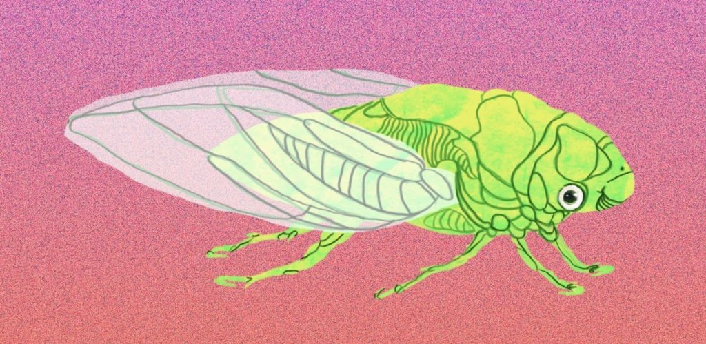 cicale - la copertina del singolo di paul giorgi che raffigura il disegno di una cicala verde