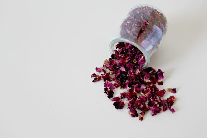 Naturopatia. Medicina tradizionale, mondo, natura. Un vasetto di vetro con fiori secchi di colore viola che escono.
